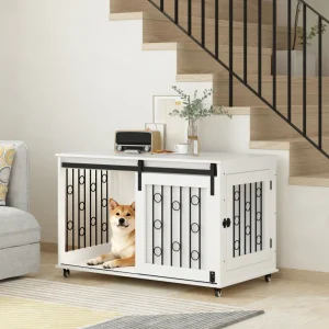Indoor Dog Kennel