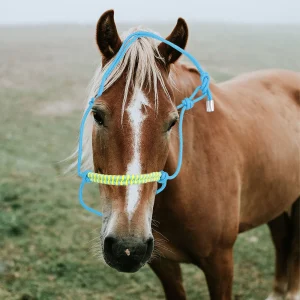 Horse Head Rope