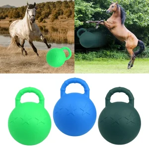 Equine Play Ball
