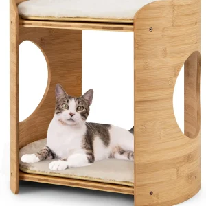 2-Tier Cute Small Tree