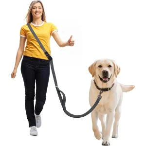 Dog Leash