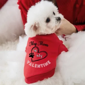 Dog Hoodie Sweater Valentine's Day